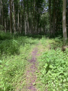Volkenroda2wandeling3
