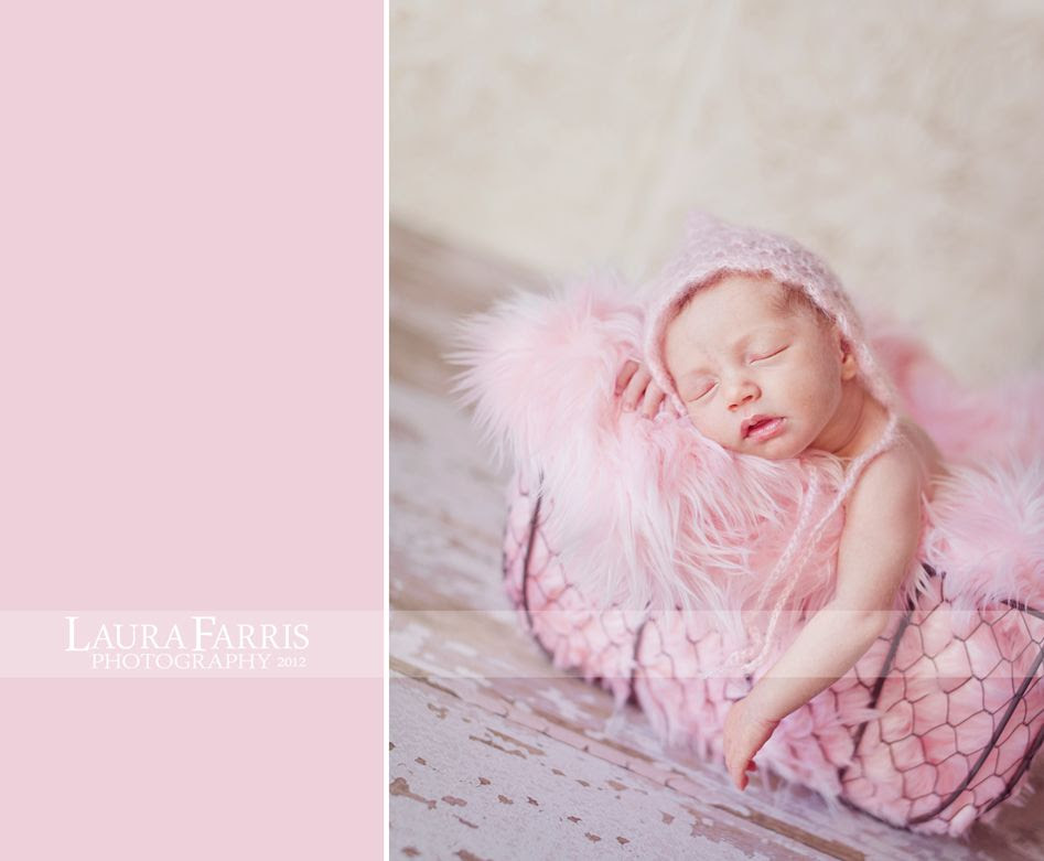 boise newborn baby photographer