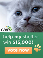 America's Favorite Animal Shelter Contest - help your animal shelter win $15,000 - vote today!