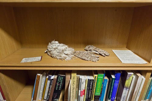 Paper sculptures - the end!