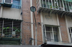 DSC_2447.JPG