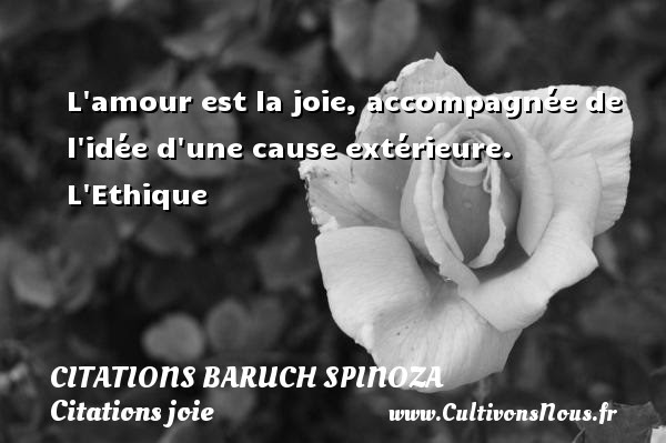 Citation De Joie Et Damour Best Citations D Amour