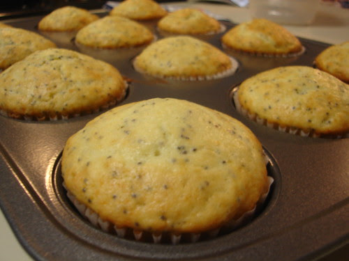 Poppy Seed Muffins
