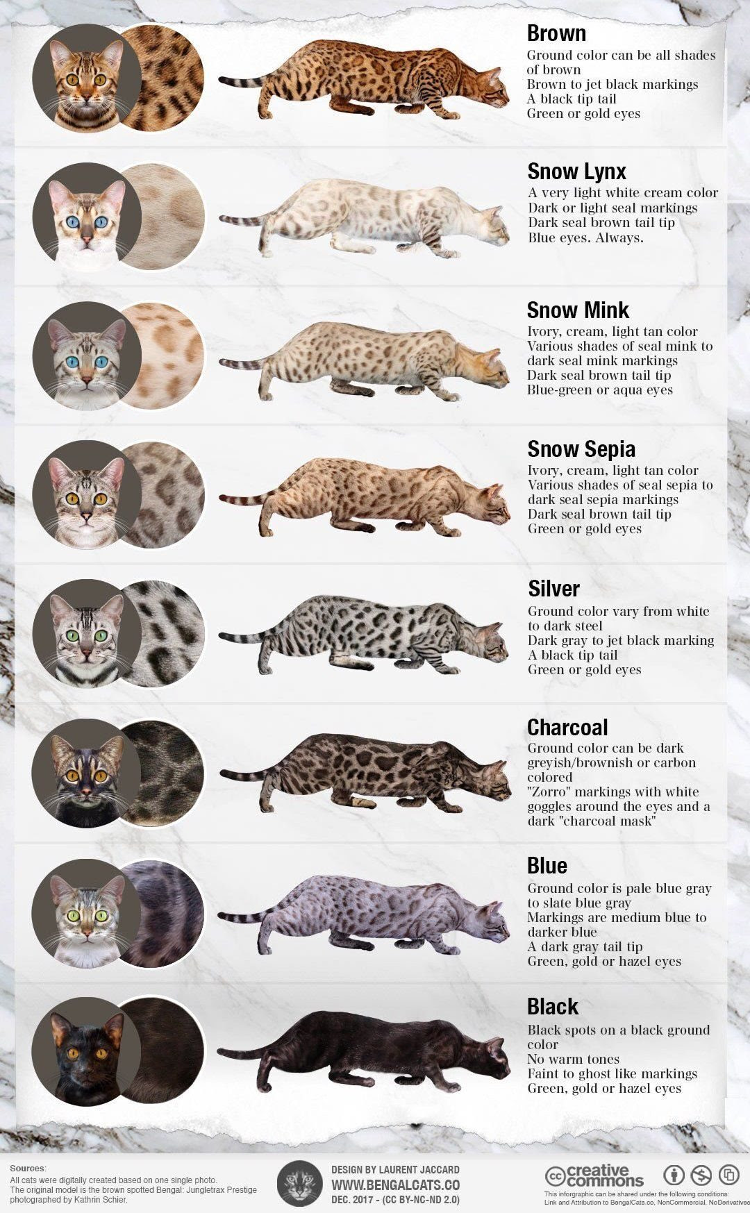 Cat Fur Pattern Names