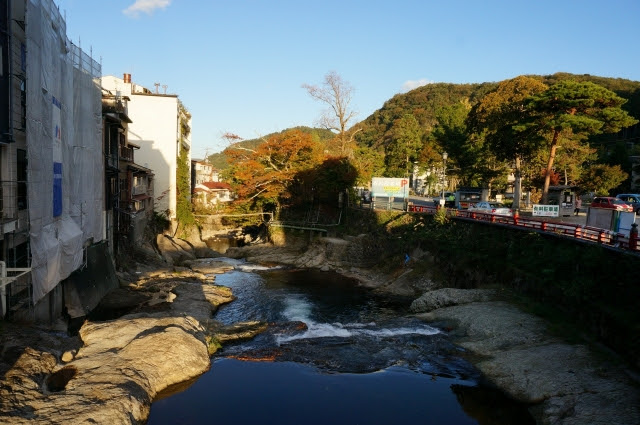 DSC05459.jpg
