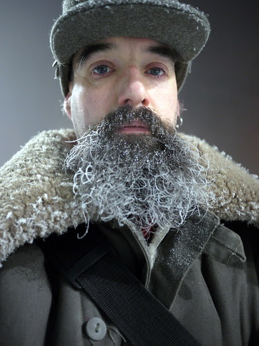 Beardicles