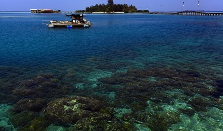 Beberapa Tempat Wisata Di Kalimantan Barat Beberapa Tempat Wisata Di Kalimantan Barat