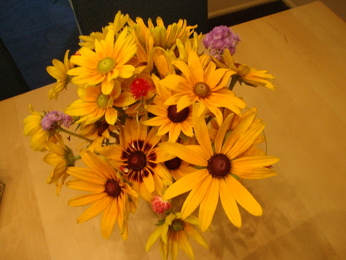 Princeton farmer's mkt flowers 7/31/11