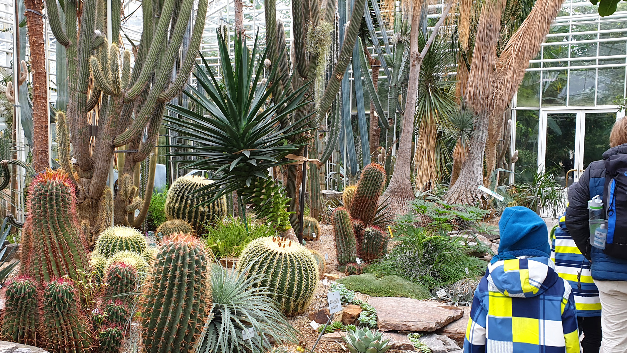 Botanischer Garten München öffnungszeiten Germany Garten