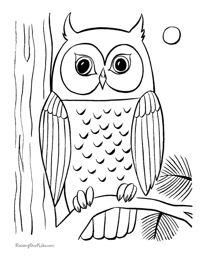 Truth Of The Talisman Free Printable Owl Pictures