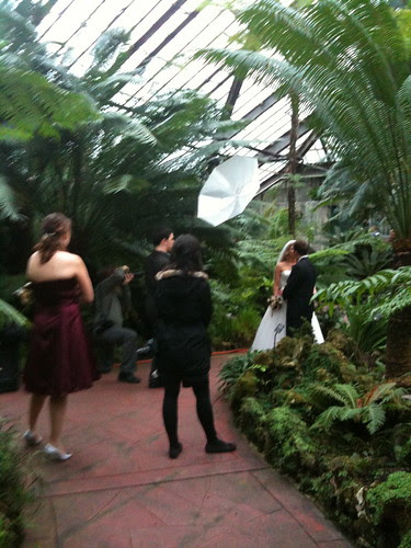 In the fern room