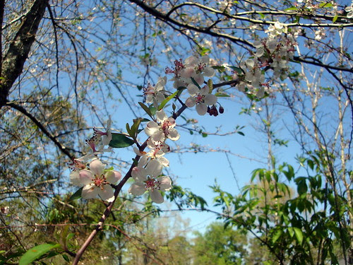 DSC05499