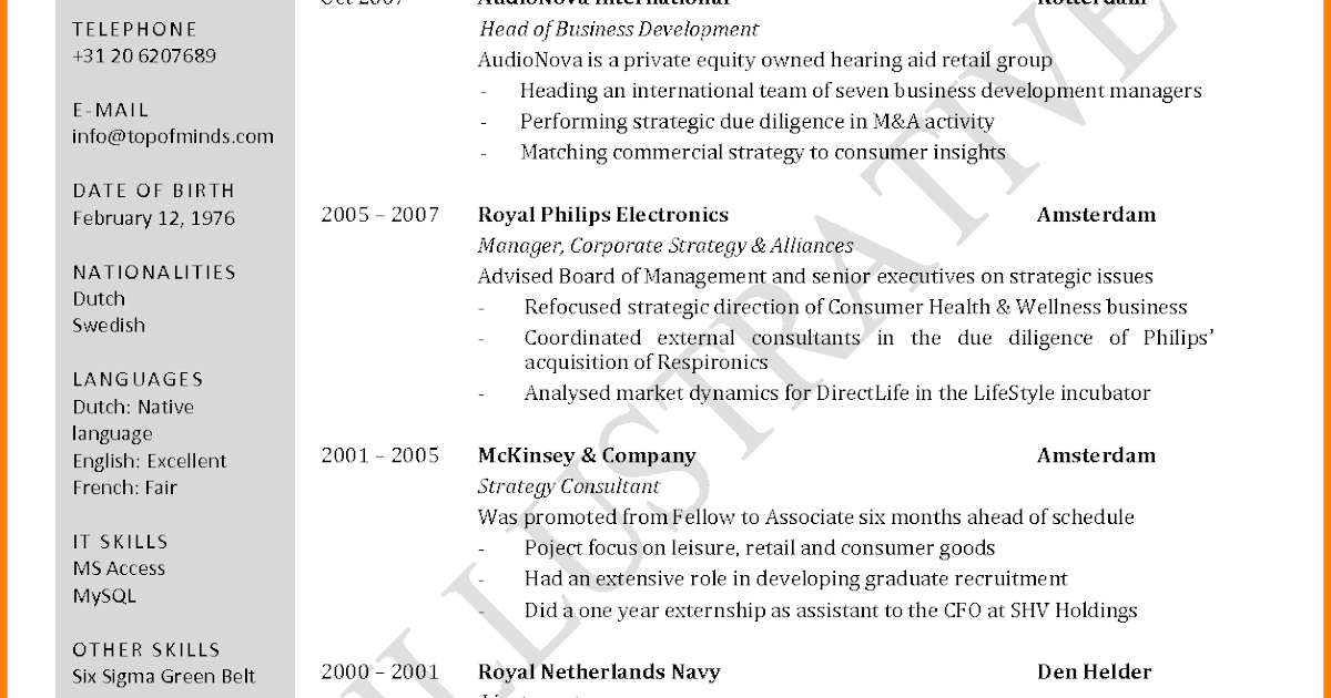 Curriculum Vitae Format Pdf : Cv Resume Templates Examples Doc Word