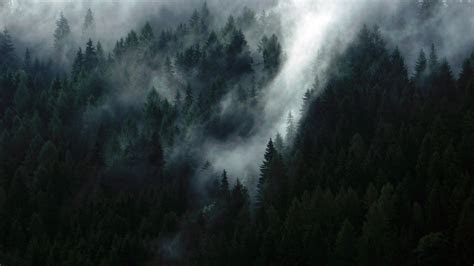 Moody Wallpaper