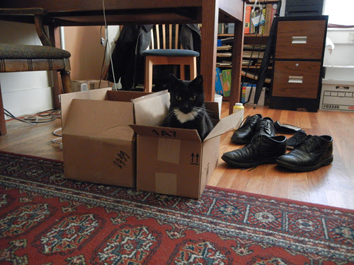 Which Box is Better 8692