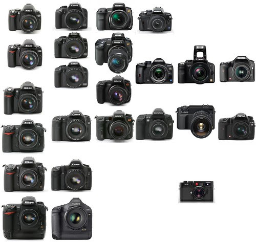 State of the DSLR market: Nikon vs. Canon vs. Sony/Minolta vs. Olympus vs. Panasonic/Leica vs. Pentax digital SLR cameras, as of June 2008