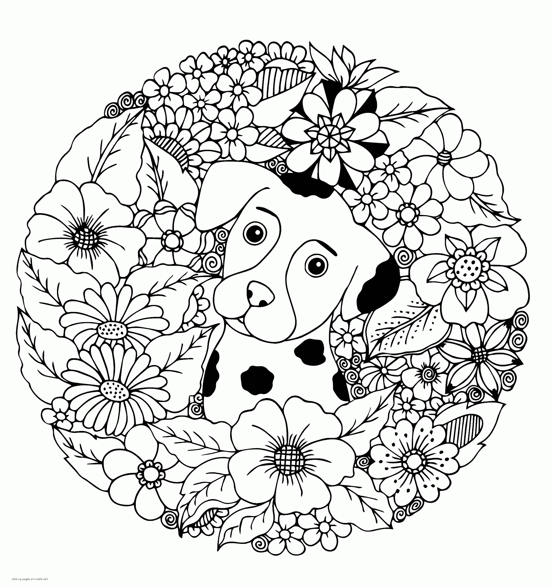 Baby Animal Coloring Pages To Print - 322+ Best Free SVG File