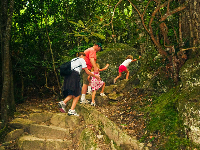 stairs (1 of 1)
