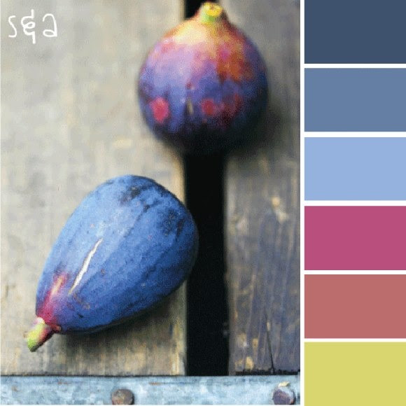 http://www.pinterest.com/pin/508836457868756100/ fig color scheme