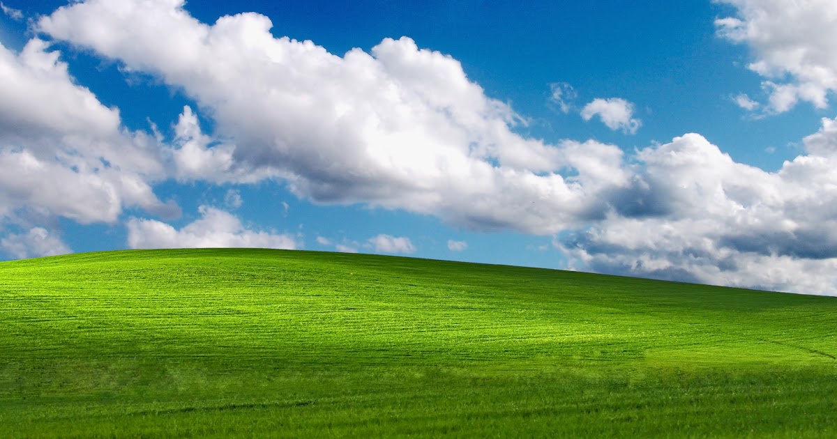 Download Wa Web Windows Xp ~ Sector Game Download