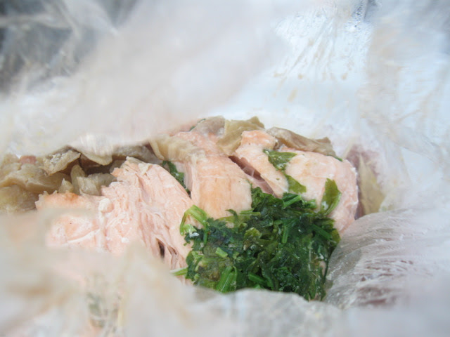 Salmon with leek
