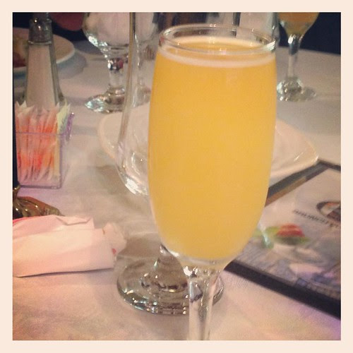 mimosa