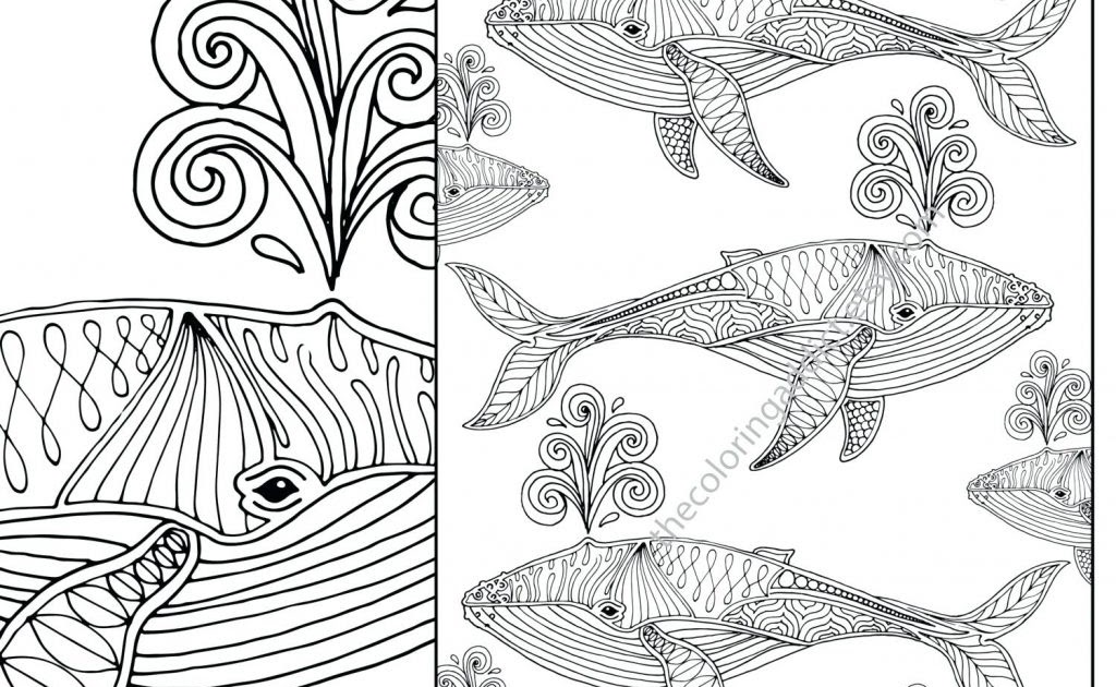 Download 79+ Nautical S Coloring Pages PNG PDF File