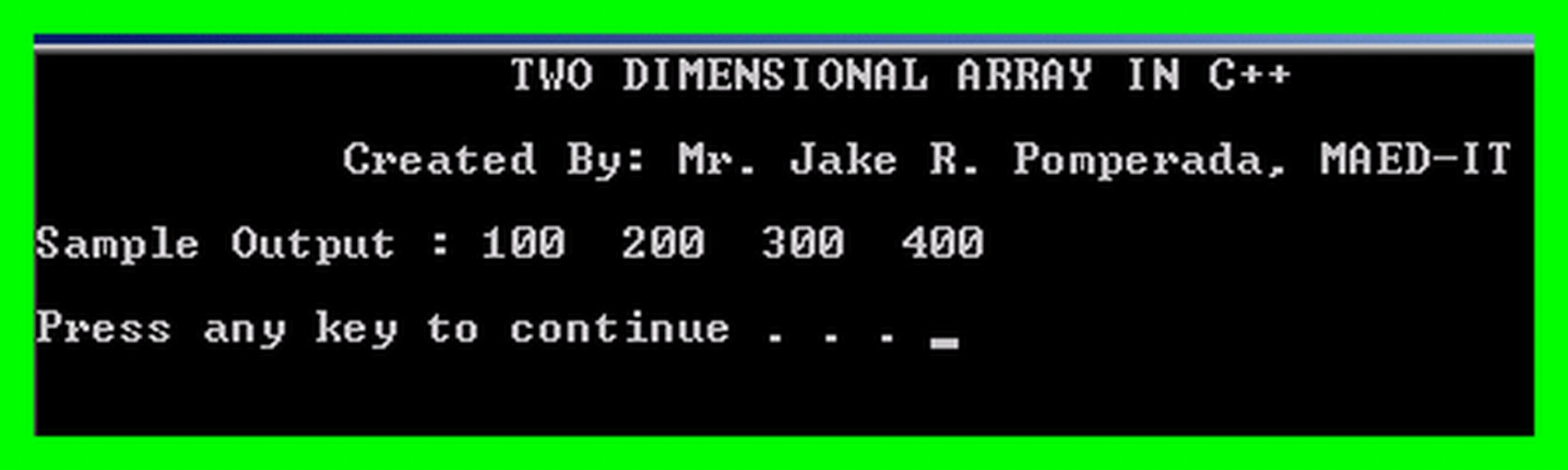 Two Dimensional Vector C++