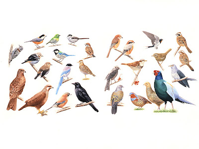 かっこいい 鳥 イラスト リアル の最高のコレクション ディズニー画像のすべて