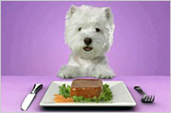 Dog training: Caesar dog food