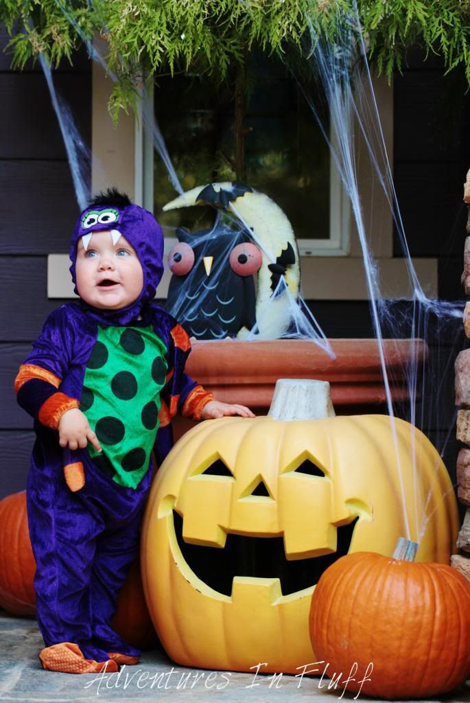 Baby spider Halloween Costume Baby spider Halloween Costume