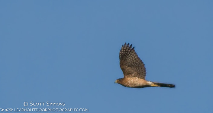 Photo & Video Sharing by SmugMug Photo & Video Sharing by SmugMug