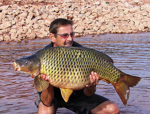 morocco carp