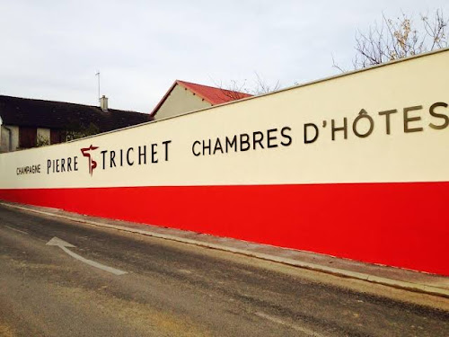 Visite dégustation cave Reims - Chambres d'hôtes B&B : Champagne Trichet-Didier à Trois-Puits
