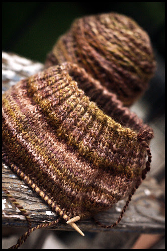 Pluot Hat