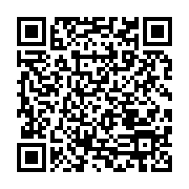 Generador de Códigos QR Codes