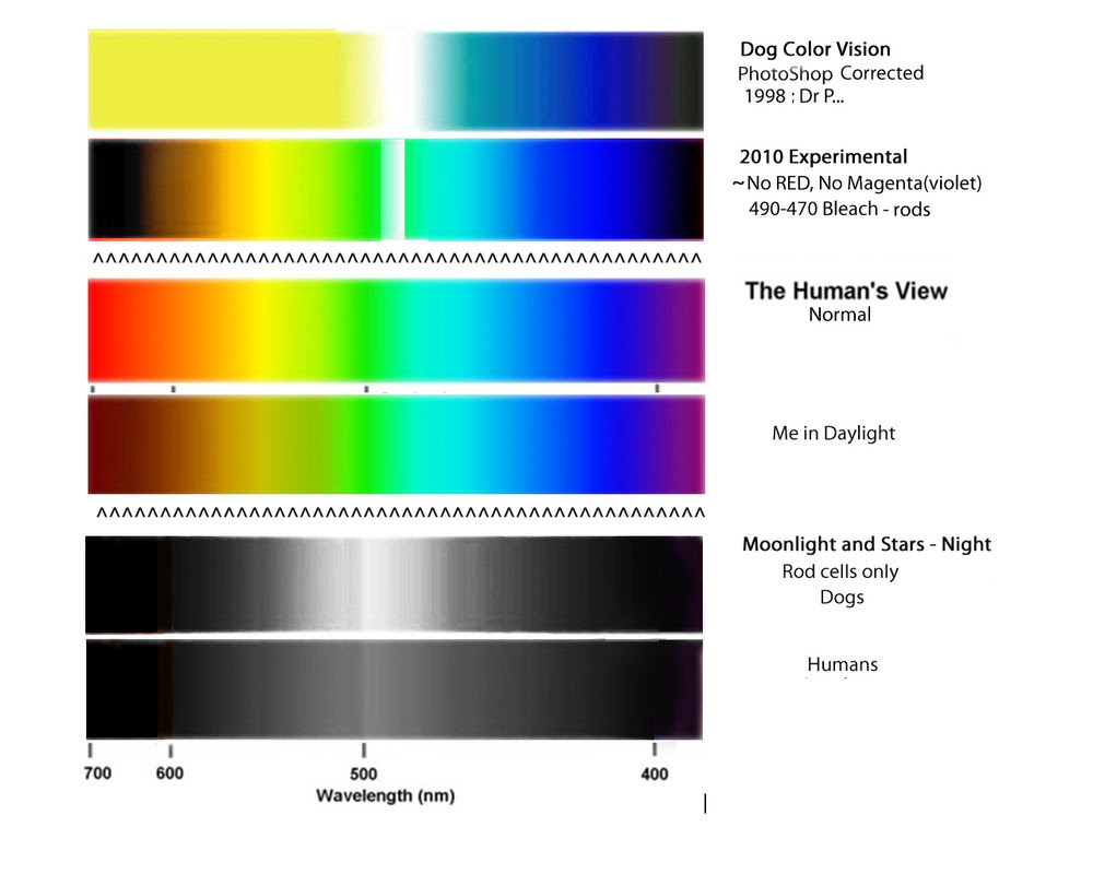 Cat Eye Color Spectrum