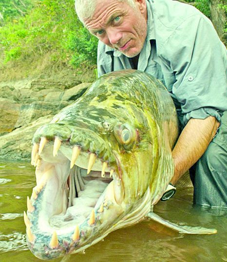 Jeremy Wade e seu mostro do rio peixes-monstros-rio-jeremywide