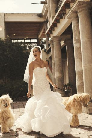 Scroll Lace Trumpet Wedding Dress David's Bridal Scroll Lace Trumpet Wedding Dress David's Bridal