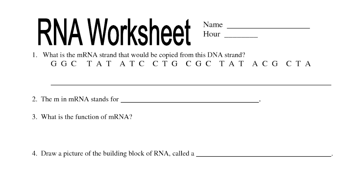 Gizmo Rna And Protein Synthesis Answer Key Pdf - Student Exploration Building Dna Gizmo Answers ...
