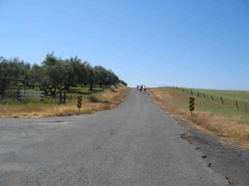 Road shot