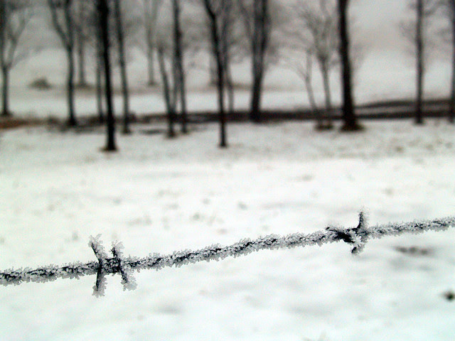 On the fence