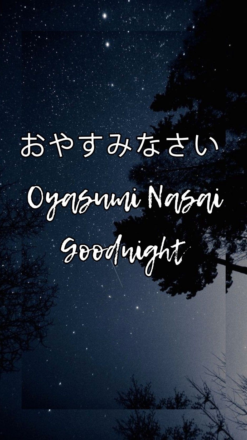 What Is Goodnight In Japanese