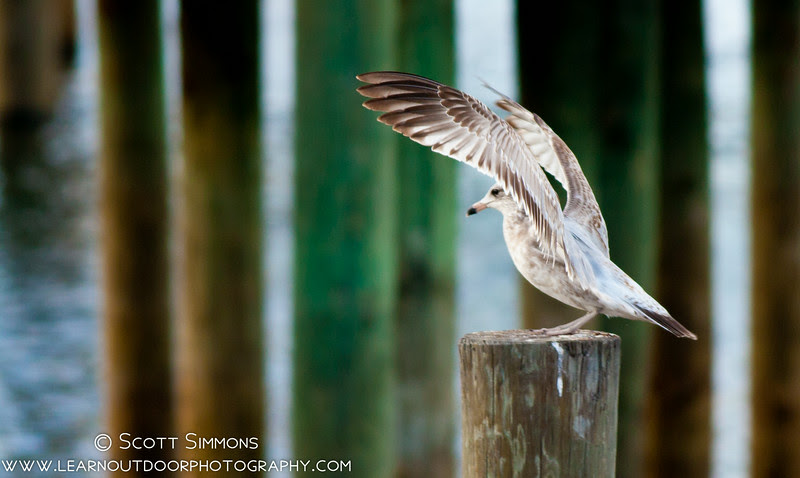 Photo & Video Sharing by SmugMug Photo & Video Sharing by SmugMug