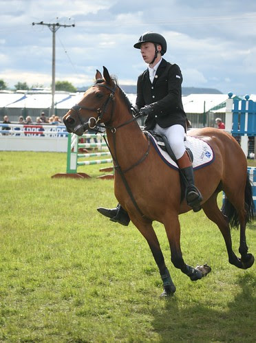 Showjumping