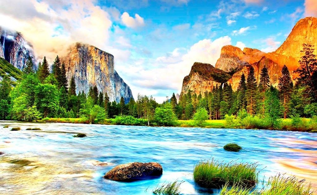 Download Animated Nature Wallpapers - Download Wallpaper Free Version
