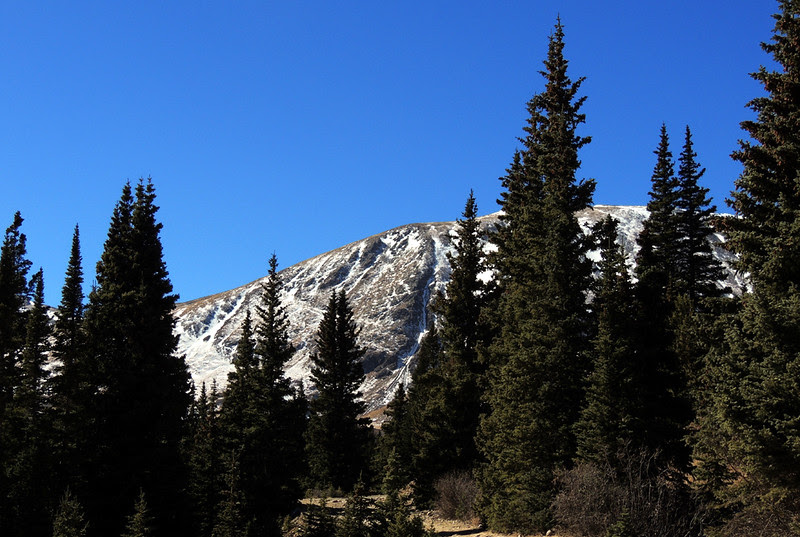 Getting closer to treeline Getting closer to treeline