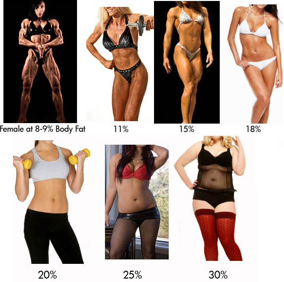 List 99+ Images how many layers of fat does a woman have Superb
