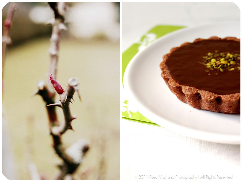 Chocolate Tartlets Picnik collage 3 bis