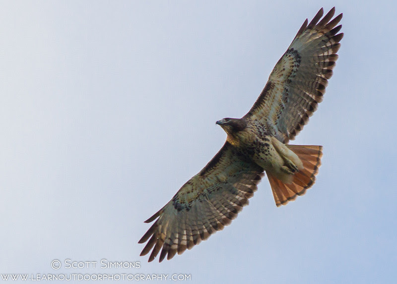Photo & Video Sharing by SmugMug Photo & Video Sharing by SmugMug